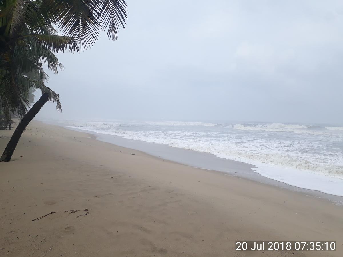 Marari Stella Vich Homestay Turavur
